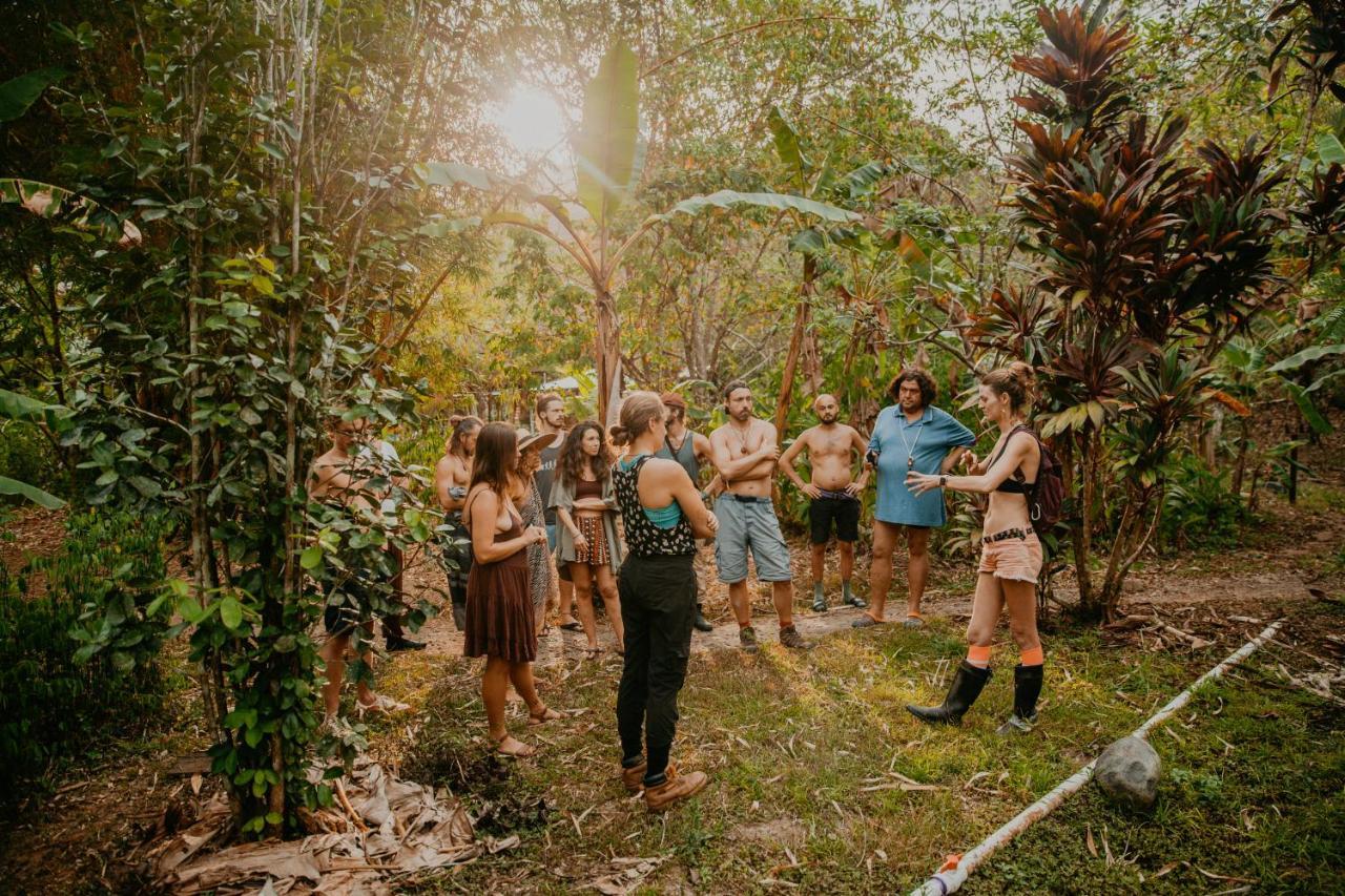 The Jungle Lodge At Kalu Yala Panama City Exterior photo